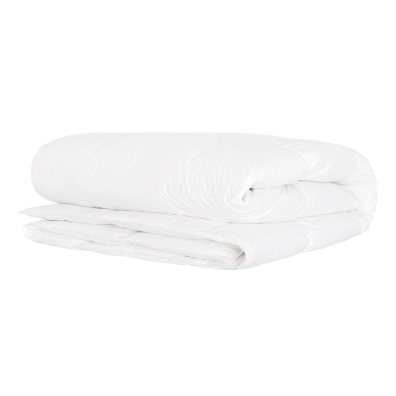 COUETTE BAYONNE